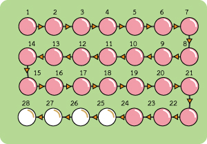 บทบาทและความสำคัญ  ของเม็ดแป้งในยาคุมกำเนิด